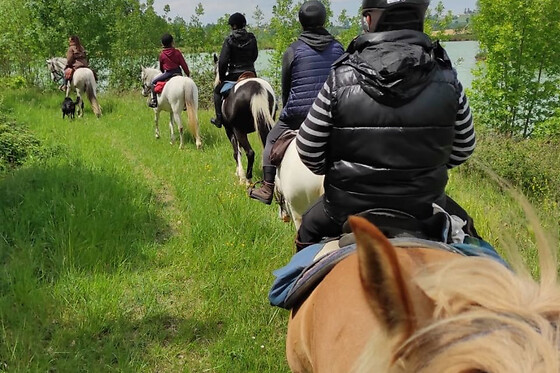 Balade à cheval à Labretonie (47) - Duo - 1h