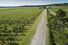 CHATEAU BELLEVUE LA FORET