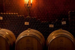 CHATEAU BELLEVUE LA FORET