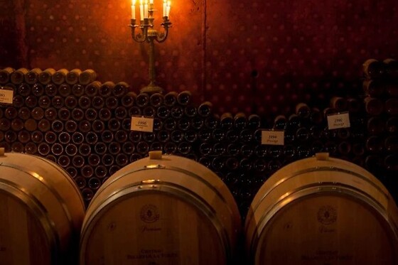 CHATEAU BELLEVUE LA FORET - photo 4