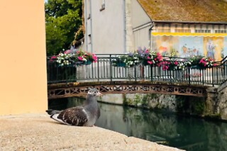 Un séjour pour 2 au Domaine du Canal à Montcresson (45)