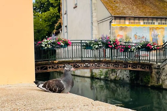 Un séjour pour 2 au Domaine du Canal à Montcresson (45)