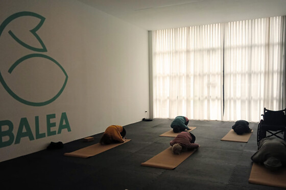 BALEA AKROYOGA - photo 1