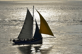 Croisière en voilier et apéritif dans le Golfe du Morbihan (56) - Croisière Adulte