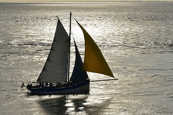 Croisière en voilier et apéritif dans le Golfe du Morbihan (56) - Croisière Adulte