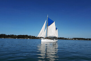 Balade en mer sur la Boréale demi journée à Vannes (56)