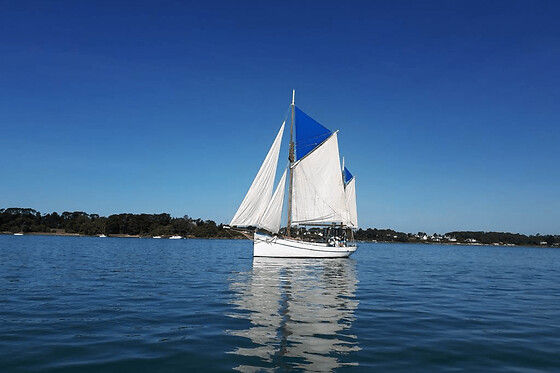 Balade en mer sur la Boréale demi journée à Vannes (56)