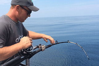 Pêche en méditerranée à Carnon (34) - Pêche sportive (no kill)