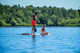 Location de paddle à l'Etang des Bois (45) - Paddle - 1h