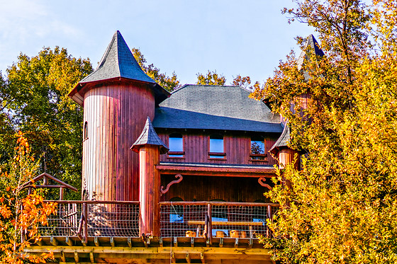 Domaine de Dienné - photo 12