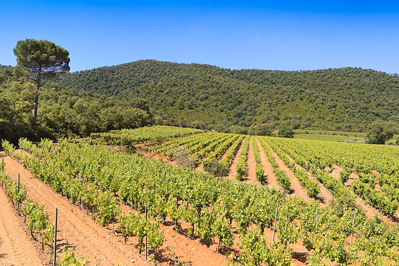 Domaine de la Portanière - photo 3