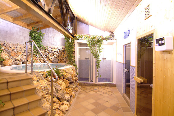 HOTEL PALACIO DE OÑATE SPA - photo 16