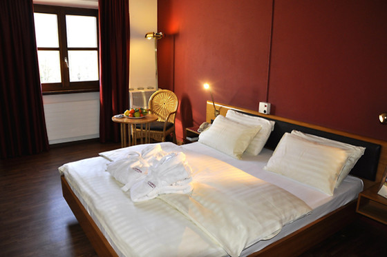 Hotel Bellinzona Sud*** - photo 2