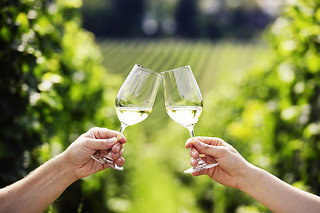 Visite & Dégustation en Champagne