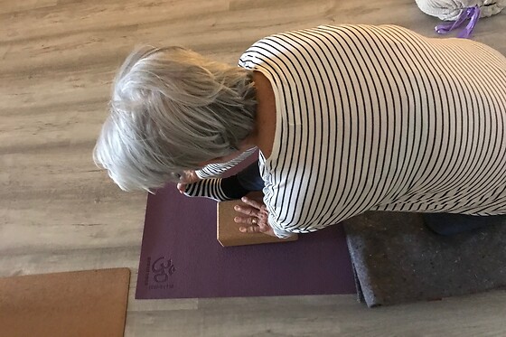 Shala Academia de Yoga - photo 0