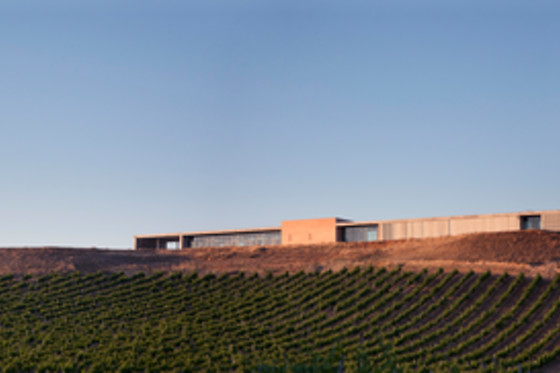 BODEGAS FINCA MONTEPEDROSO - photo 7
