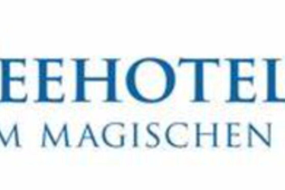 Seehotel Bären - photo 9