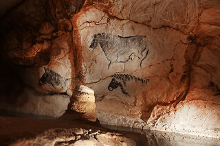 Billet pour la Grotte Cosquer Méditerranée à Marseille (13)
