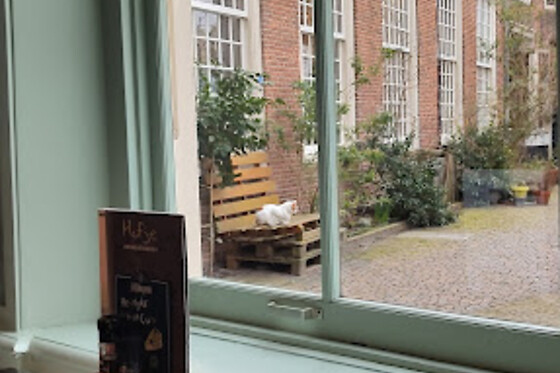 Hofje zonder zorgen - photo 7