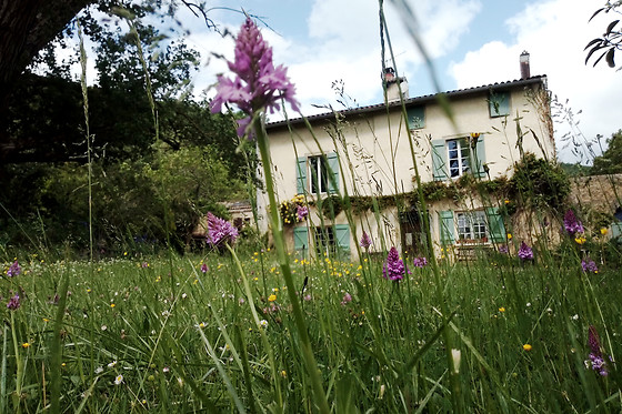 Gites de la Ferme du Bourdil - photo 0