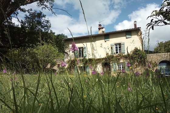 Gites de la Ferme du Bourdil - photo 1