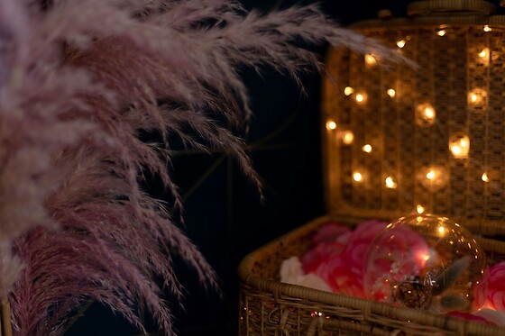 Noua Luna - photo 0