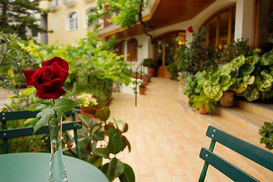 HOTEL ANTIGA - photo 26
