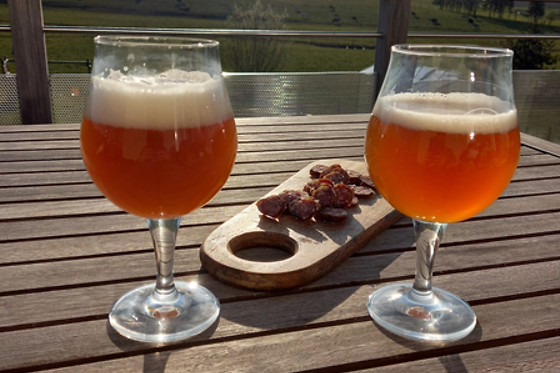 Microbrasserie des Coccinelles - photo 11