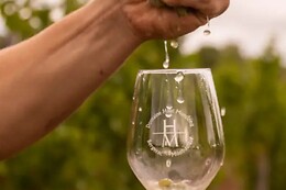 Domaine du Haut Montlong