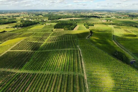 Domaine du Haut Montlong - photo 6