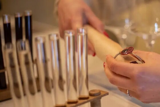 Domaine du Haut Montlong - photo 8