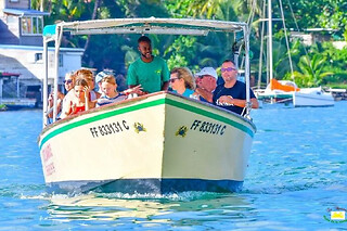 Visite guidée de la Mangrove depuis Les Trois-Ilets