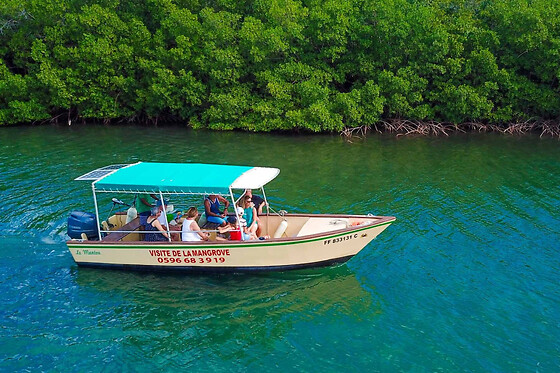 Visite guidée de la Mangrove depuis Les Trois-Ilets