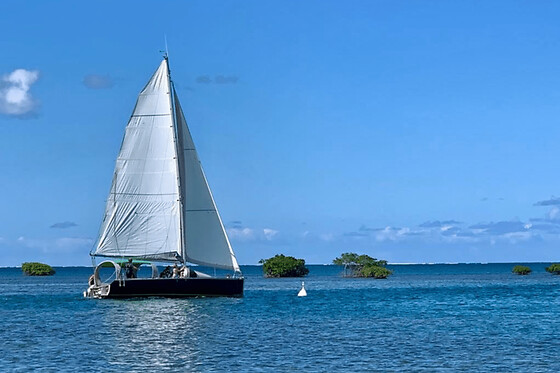 Excursion en bateau à voile en Guadeloupe depuis Baie-Mahault