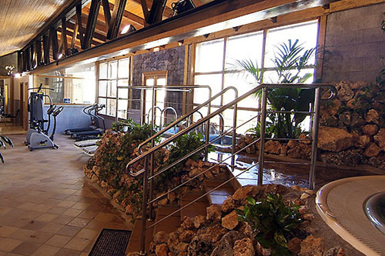 HOTEL PALACIO DE OÑATE SPA - photo 25