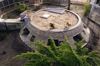 Séjour pour 2 au Zoo de Pessac (33)