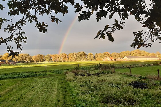 Bed & Breakfast Banninkhoeve - photo 1