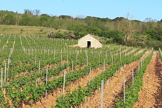 Un séjour bien-être pour deux à l'étable du bien-être***** à Ray-sur-Saône (70)