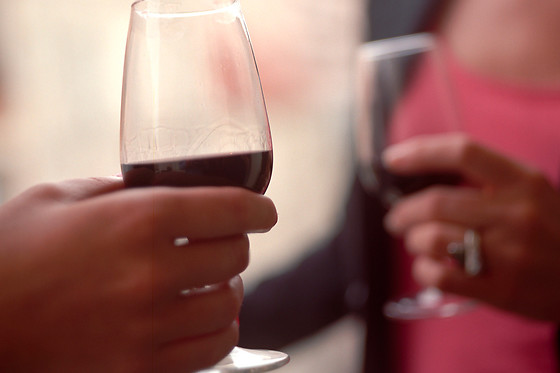Vino Cado - photo 0