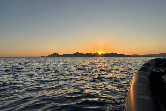 Excursion en mer 
