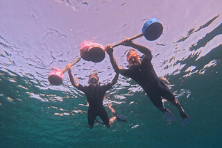 Snorkeling de nuit & bioluminescence aux Anses d’Arlet (972)
