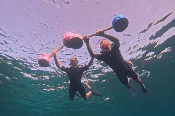Snorkeling de nuit & bioluminescence aux Anses d’Arlet (972)