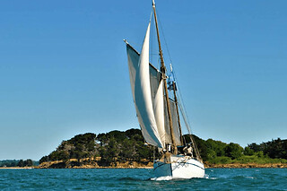 Balade en mer à la journée sur la Boréale à Vannes (56)
