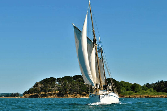 Balade en mer à la journée sur la Boréale à Vannes (56)