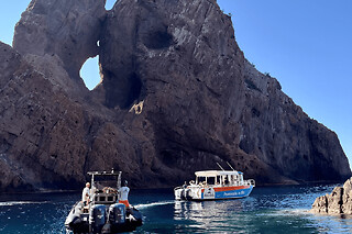Excursion en vedette vers Scandola, Girolata, Piana et Capo Rosso depuis Tiuccia
