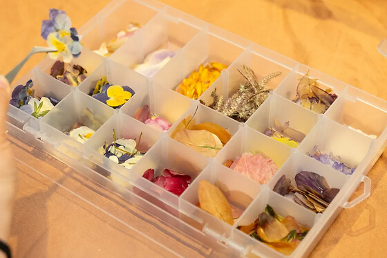 Atelier création d'un herbier à Strasbourg (67)