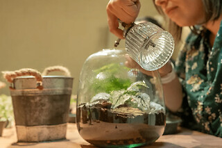 Atelier apéro terrarium à Strasbourg (67)