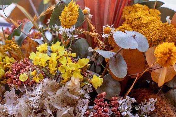 Atelier création d'un bouquet de fleurs séchées à Darnetal (76)