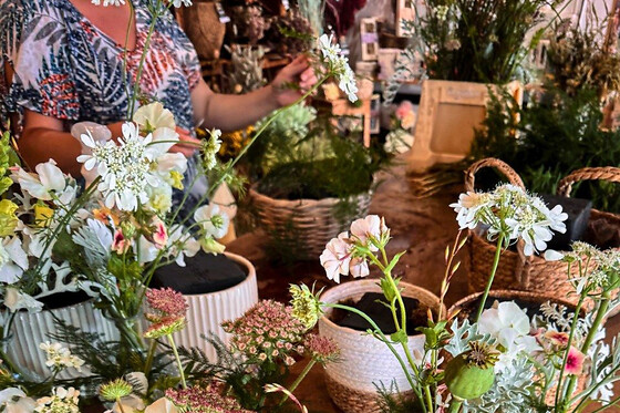 Atelier création d'un terrarium à Darnetal (76)