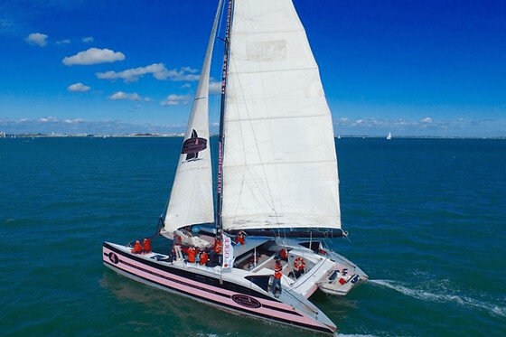 Journée en Catamaran vers l'Ile de Houat depuis Port-Blanc